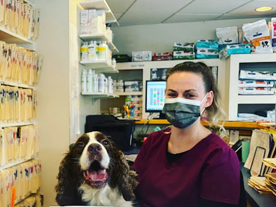 Foto de Wellesley Animal Hospital