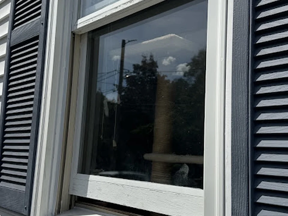 Whole Window – Repair Only
