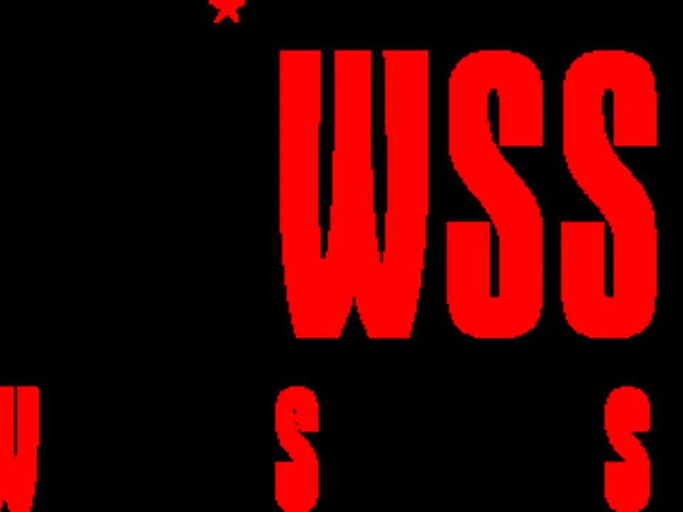Foto de Wicked Staffing Solutions