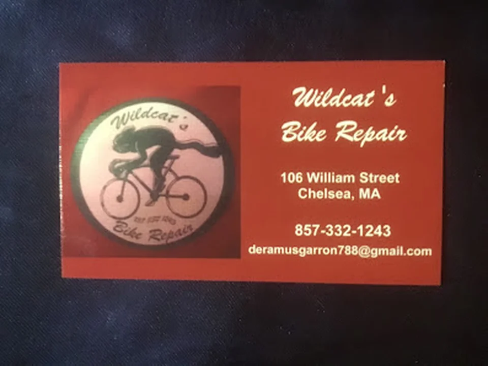 Wildcats Bike Repair