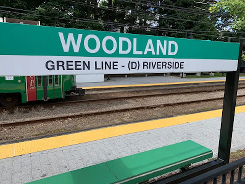 Woodland